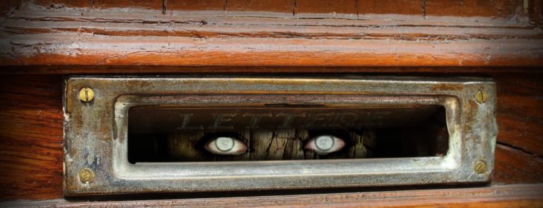 THERE’S A MONSTER  IN YOUR MAILBOX