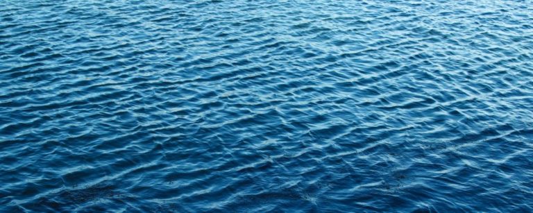 Stand Out in a Sea of Sameness