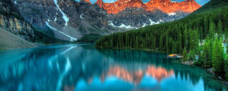 What Can Nature Teach Us About Good Design?