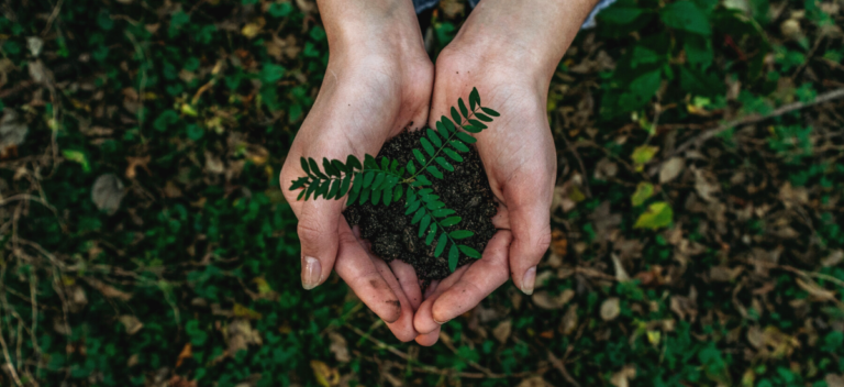 Sustainability: Part 1