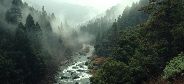 Sustainability: Part 3