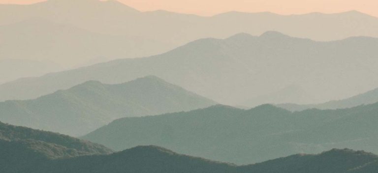 Sustainability: A Deeper Dive