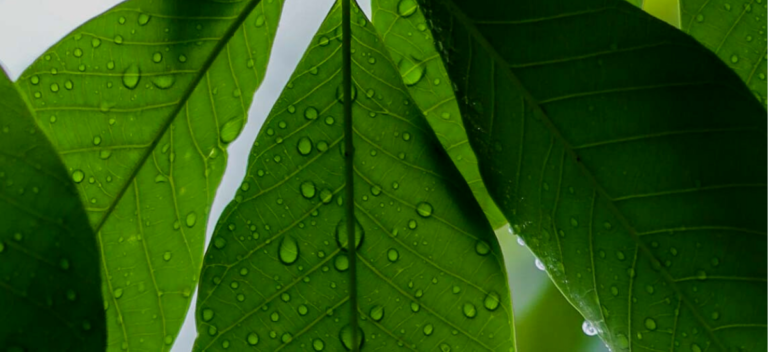 Sustainability: Part 4