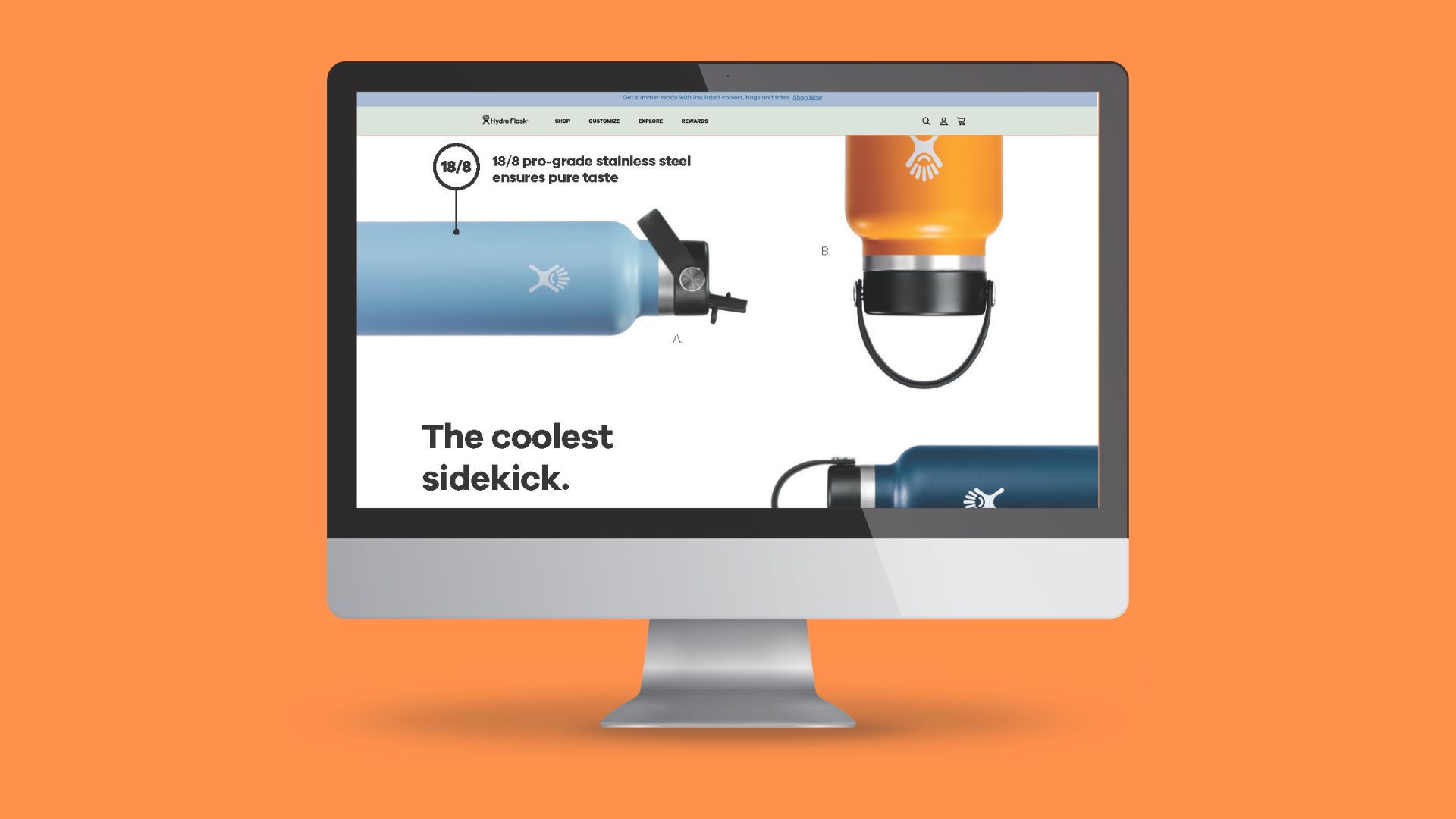 hydro flask website design