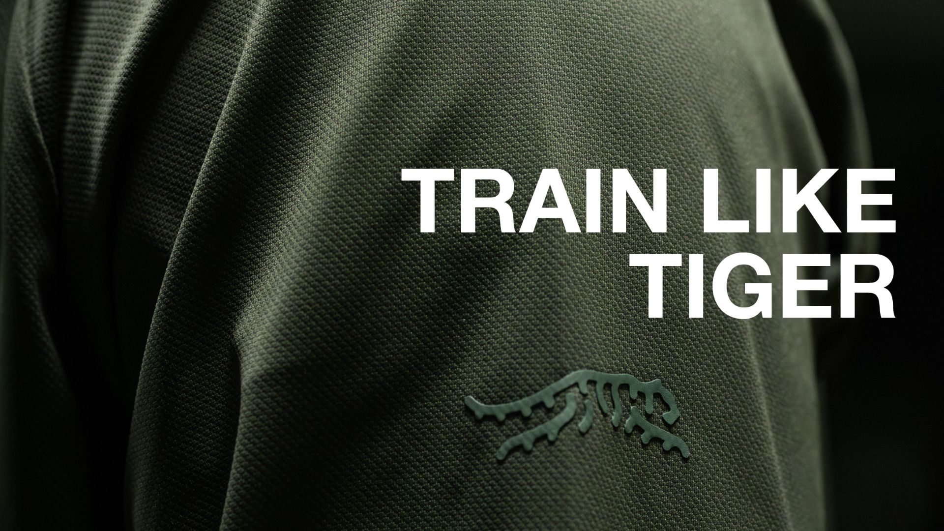 sun day red catalog design - shirt with train like tiger