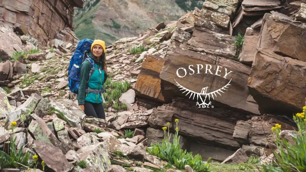 Catalog Design / Osprey